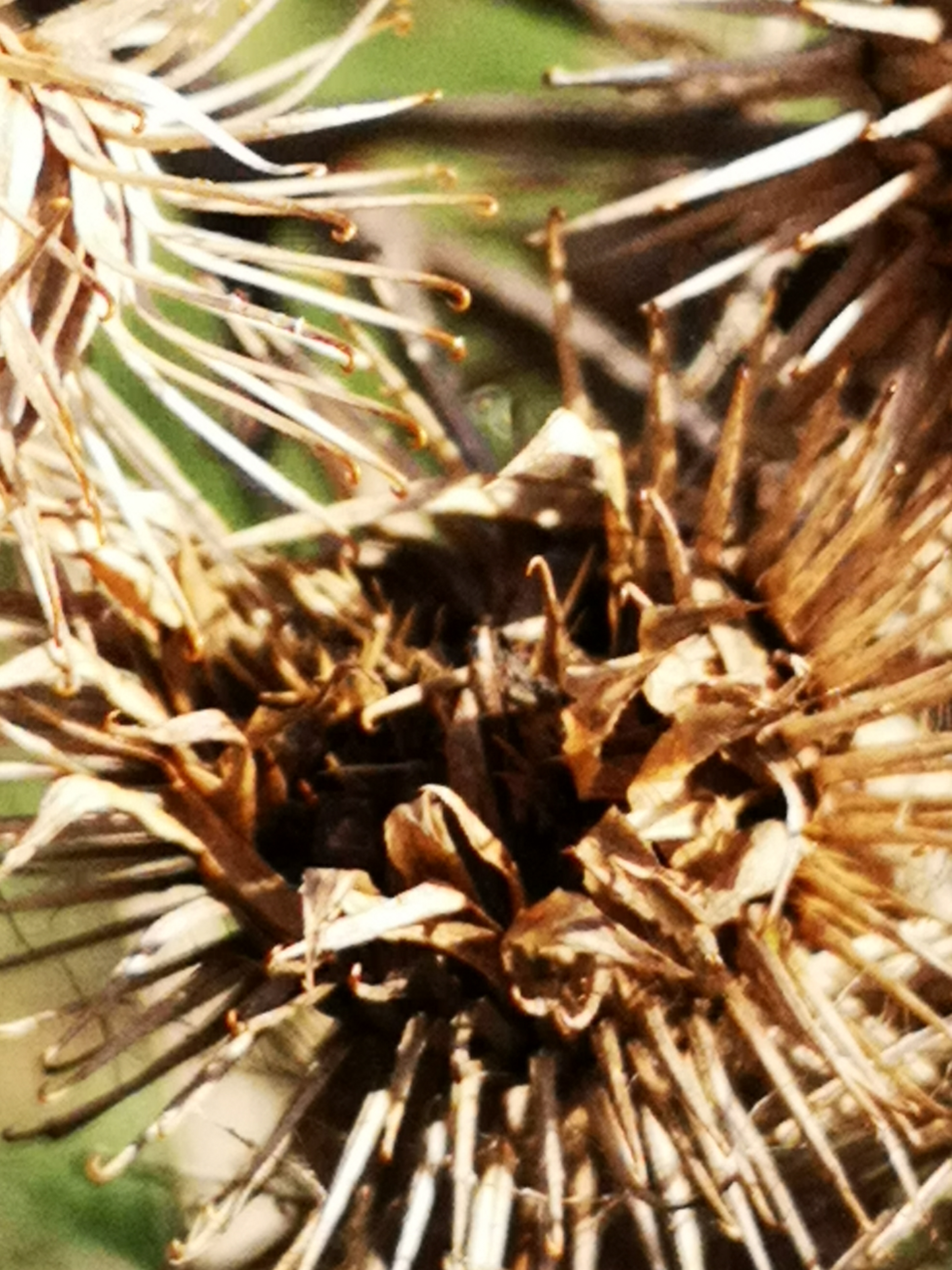 Dieses Bild hat ein leeres alt-Attribut; sein Dateiname ist img_20200404_162830.jpg.