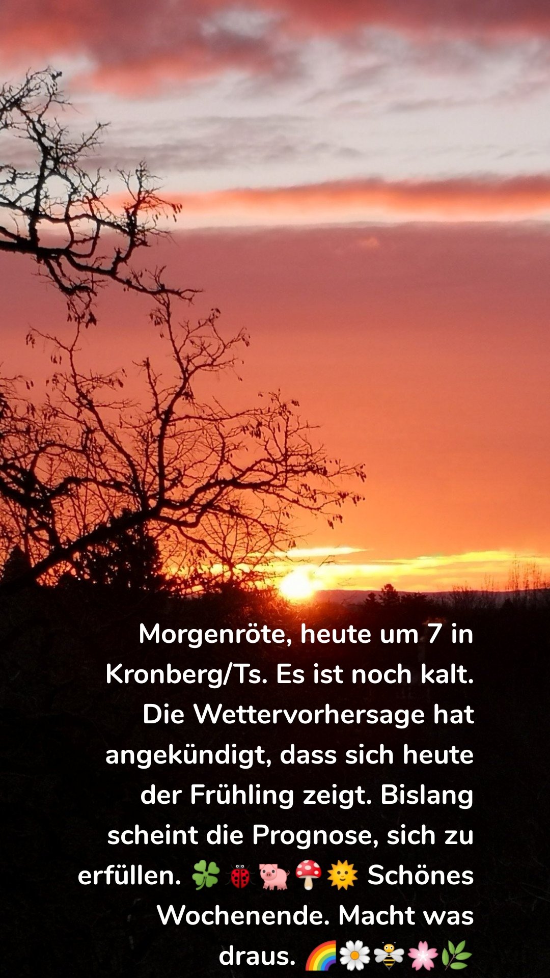 Morgenröte, heute um 7 in Kronberg/Ts. Es ist noch kalt. Die Wettervorhersage hat angekündigt, dass sich heute der Frühling zeigt. Bislang scheint die Prognose, sich zu erfüllen. 🍀🐞🐖🍄🌞 Schönes Wochenende. Macht was draus. 🌈🌼🐝🌸🌿