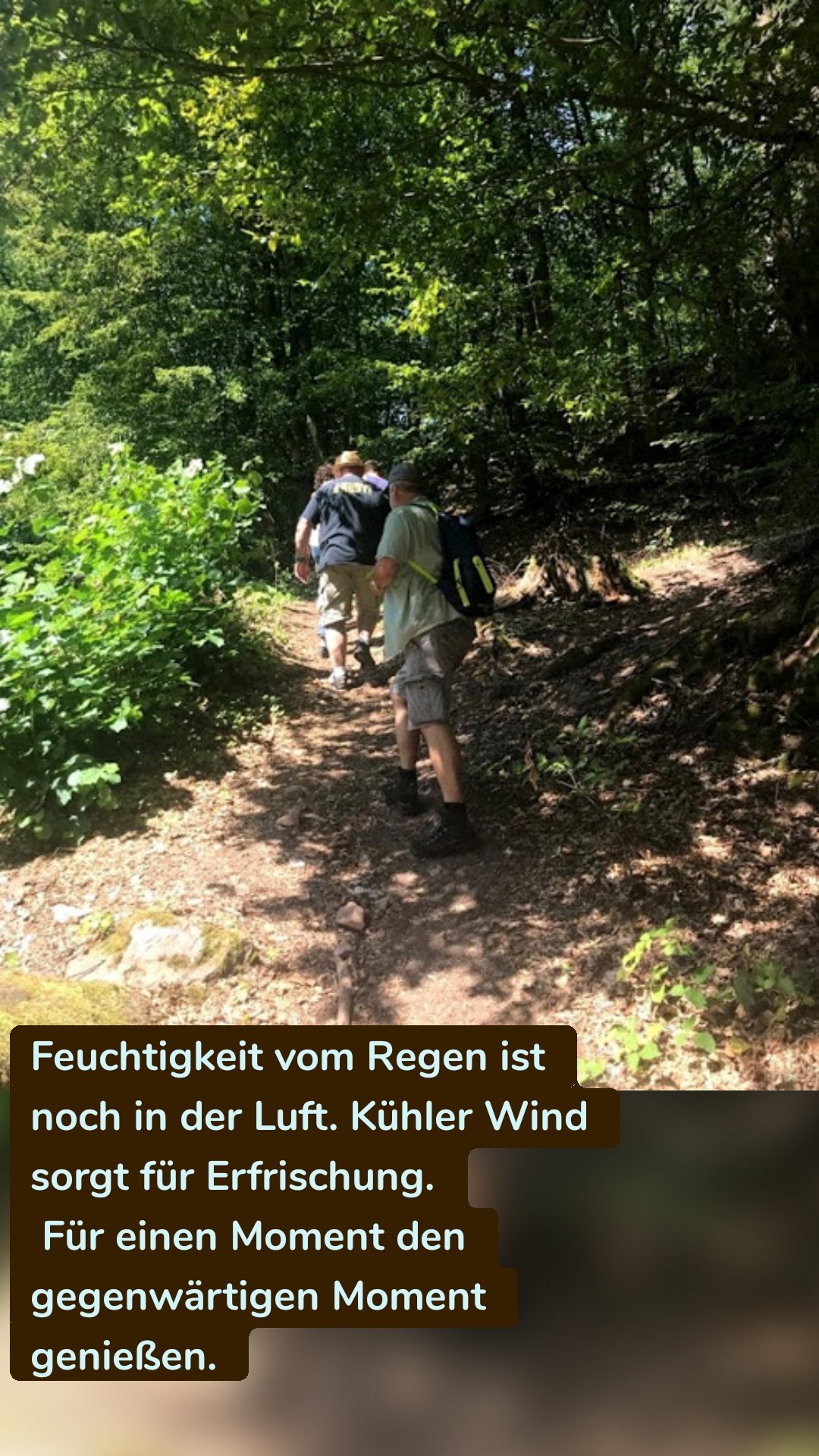 Feuchtigkeit vom Regen ist noch in der Luft. Kühler Wind sorgt für Erfrischung.
 Für einen Moment den gegenwärtigen Moment genießen. 