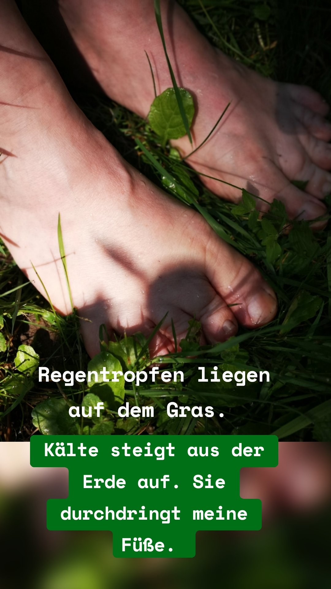 Kälte steigt aus der Erde auf. Sie durchdringt meine Füße.  Regentropfen liegen auf dem Gras. 