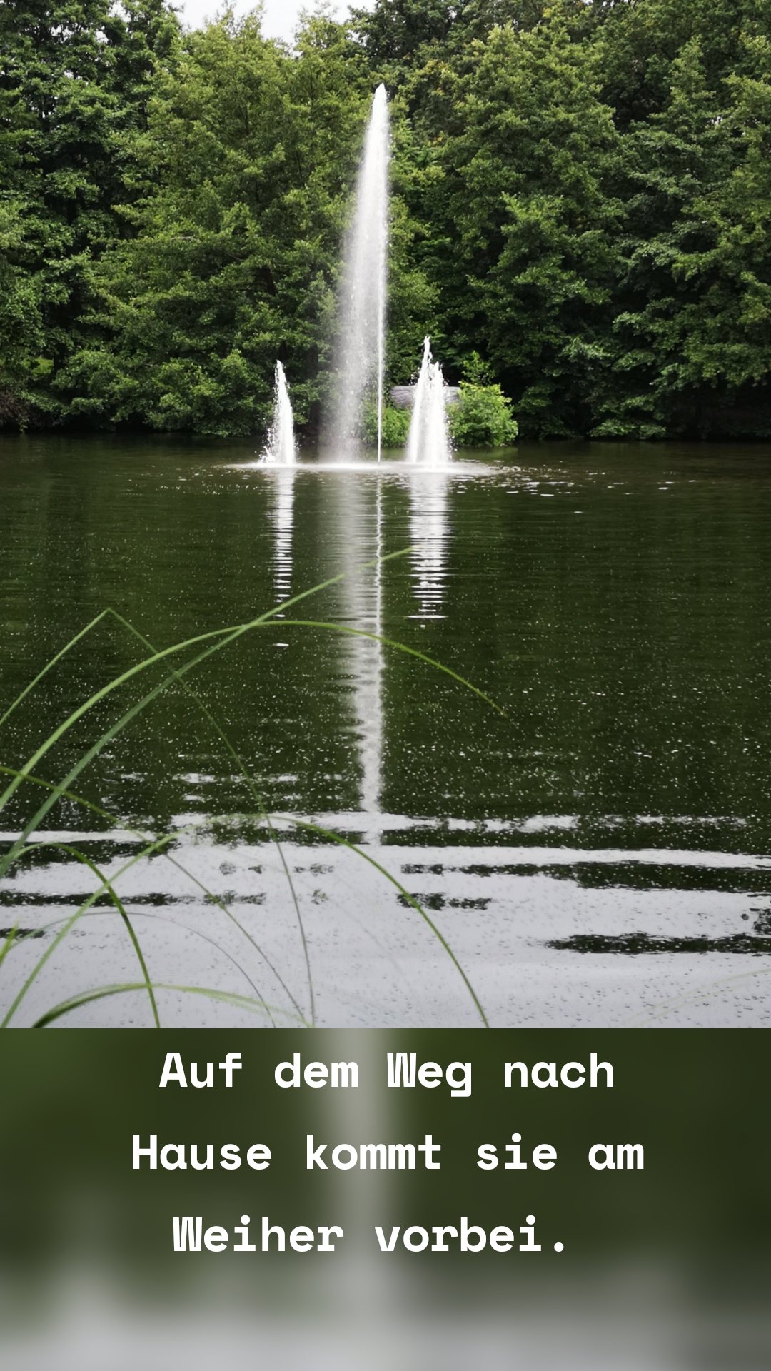 Auf dem Weg nach Hause kommt sie am Weiher vorbei.
