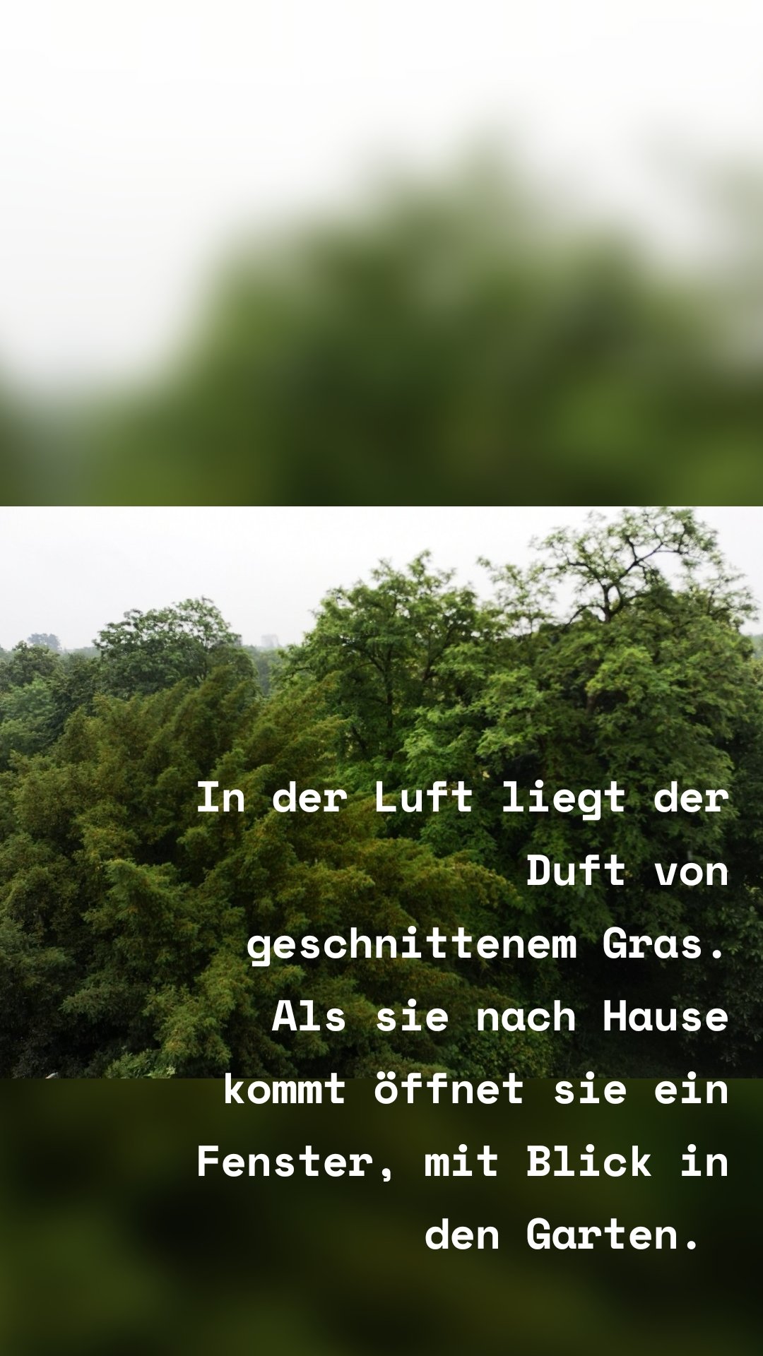 In der Luft liegt der Duft von geschnittenem Gras.
Als sie nach Hause kommt öffnet sie ein Fenster, mit Blick in den Garten. 